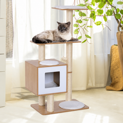Collection image for: Cat Toys & Accessories