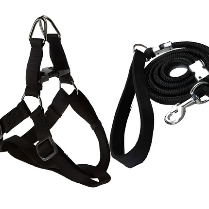 Dog Harness, Leash Rope Set (Pack of 2) Size 18X11X8 Cm  Color Black