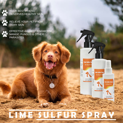 Lime Sulfur Pet Shampoo & Spray Bundle – 8 oz Set